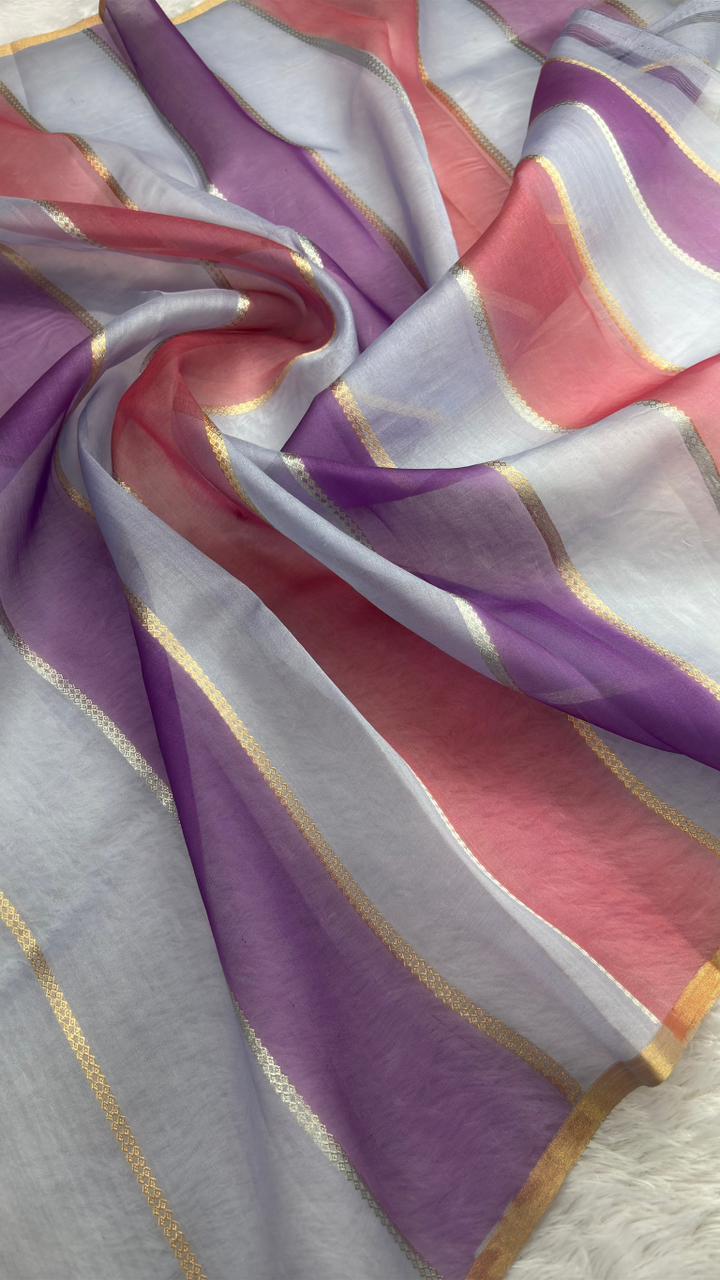 Pastel Multi-Color Diagonal Panel Banarasi Kora Rangkaat Kadhua Saree