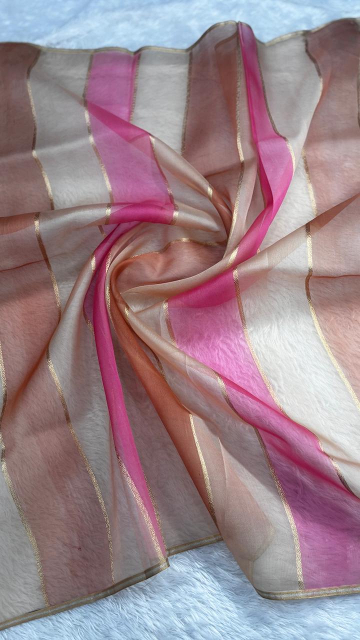 Modern Rust & Magenta Diagonal Panel Banarasi Kora  Rangkaat Kadhua Saree