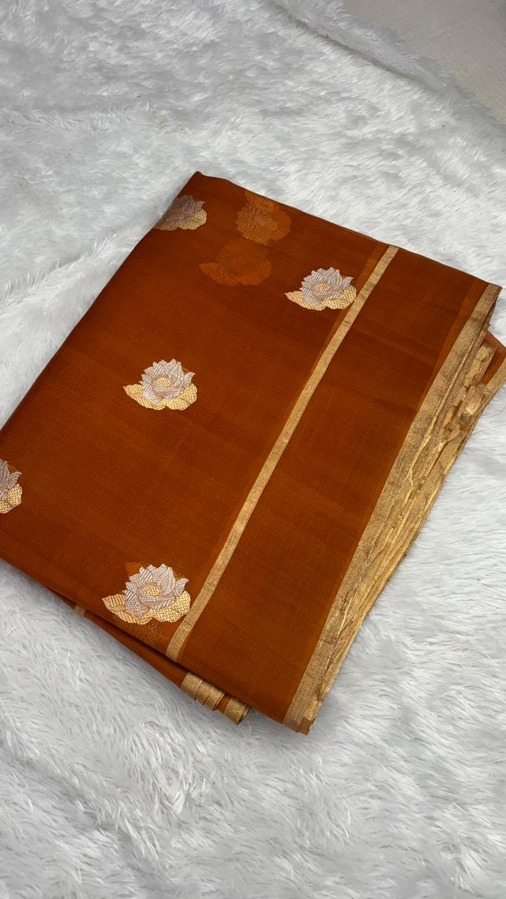 Ethereal Rust Orange Banarasi Kora Designer Kadhua Saree