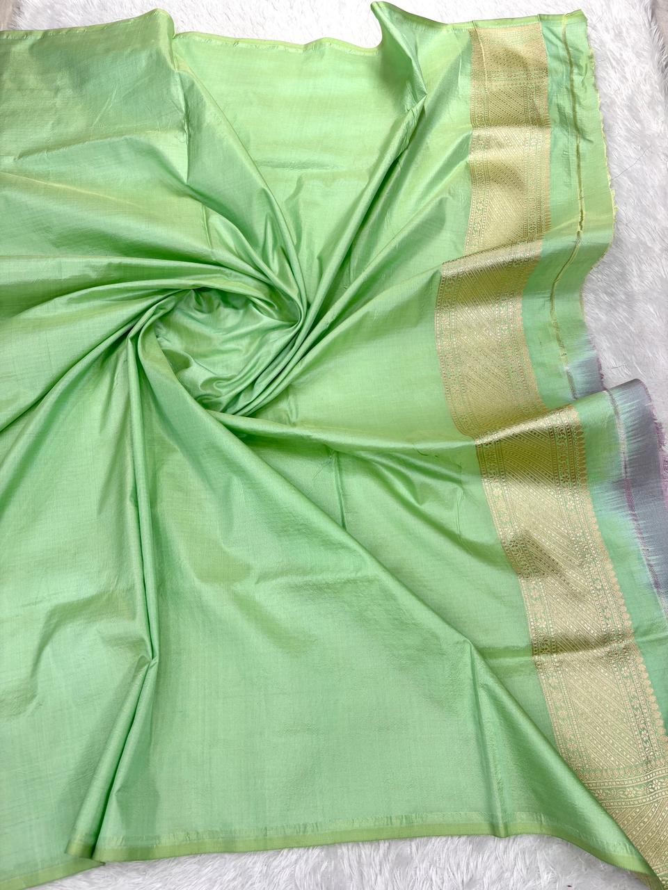Mint Green Banarasi Katan Silk Saree with All-Over Floral Jungla Cutwork & Geometric Pallu
