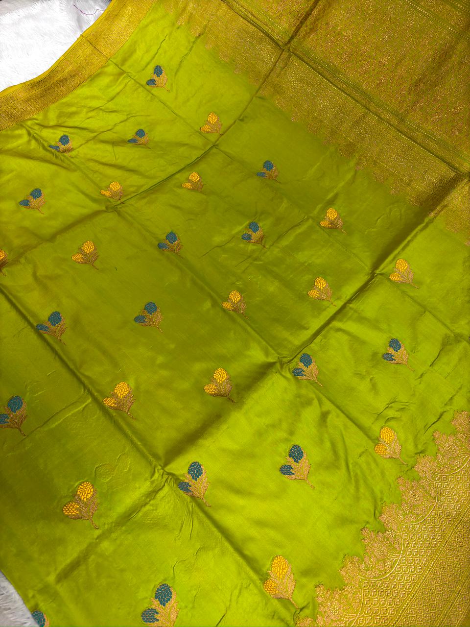 Lime Green Pure Katan Silk Lightweight Kadhua Rungkaat Saree with Gold Zari