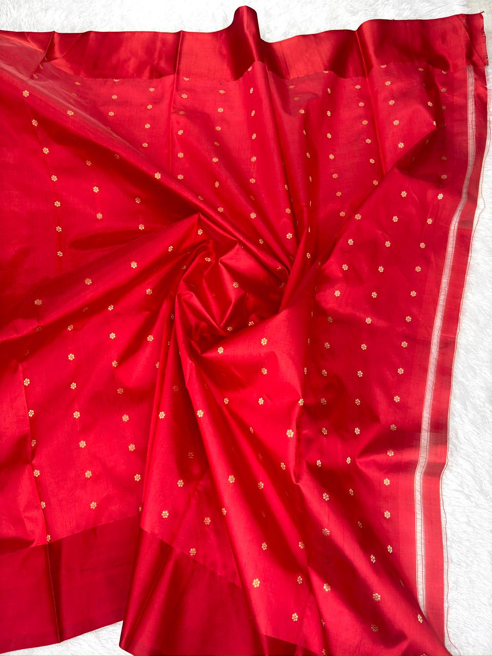 Sunlit Mustard Kora Silk Designer Saree with Rich Red Zari Pallu